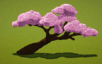 Cherry Tree Branch