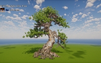 Oriental style pine tree