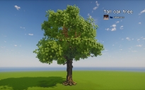 Tall oak tree