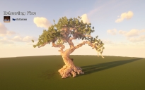 Welcoming Pine