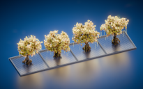 Bundle 4 Yellow Trees
