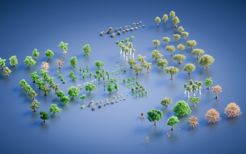 Bundle 195 Natural Assets