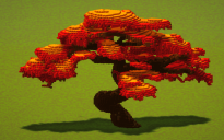 Red Bonsai Tree