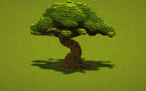 Big Oak Tree