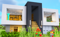 Modern House-5