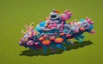 Coral Submarine