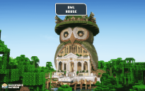 Owl House 🦉🏠