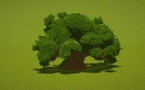 Large Oak Tree