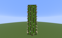 Cactus farm