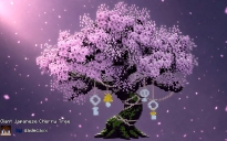 Giant Japanese Cherry Tree