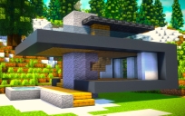 Modern House 13