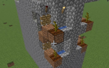 Netherless mushroom farm