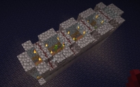 Netherless bamboo farm