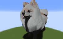 [FREE] Pomeranian