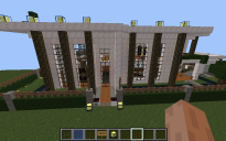 Silver Modern House