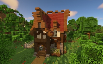 Minecraft Starter House