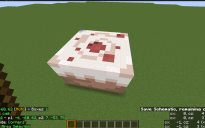 minecraft cake tried to make it accurate
