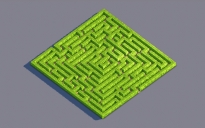 Hedge Maze | Garden Decoration