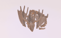 Free Dragon Skeletons ( Download available )
