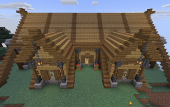 Long Viking Home