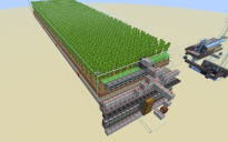 bamboo farm