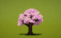 Cherry Blossom Tree