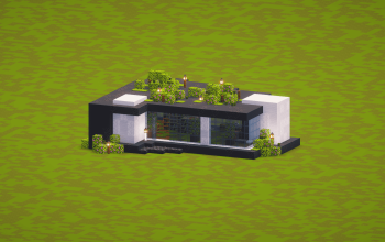 Little Modern House