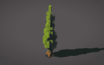 Tall Tree