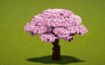 Tall Cherry Tree