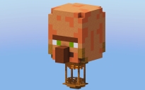 Villager Hot Air Balloon