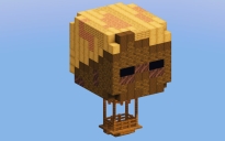 Husk Hot Air Balloon