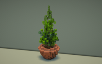 Spruce