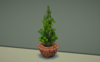 Spruce