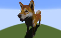 Shibainu