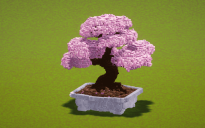 White Cherry Bonsai Vase