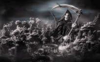 Shadow Reaper Arena