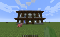 Average House