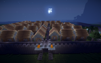 Medieval village