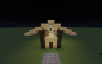 5x5 Survival Home