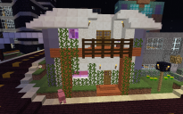 Modern Startup House
