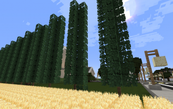 Modern Bush/Tree Idea