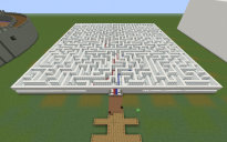 Quartz Block Maze