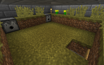 Flower farm