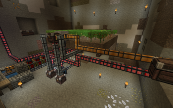 MFR Tree Farm